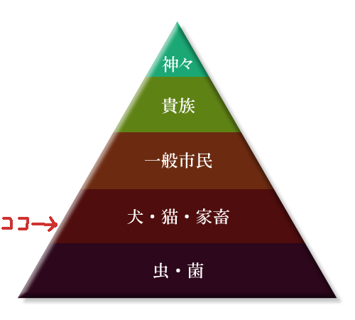 恋愛総合力